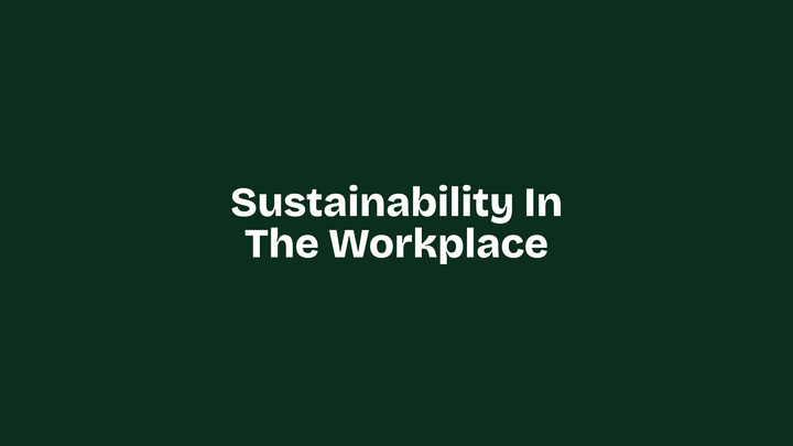 Green Ideas for Office Spaces: Sustainability in the Workplace