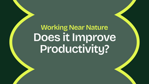 Working Near Nature: Does It Improve Productivity?