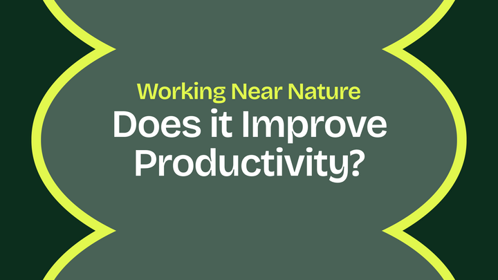 Working Near Nature: Does It Improve Productivity?